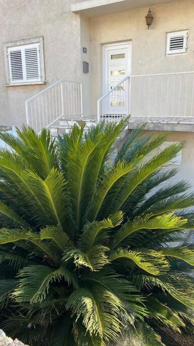 Apartment Biggy 察夫塔特 外观 照片
