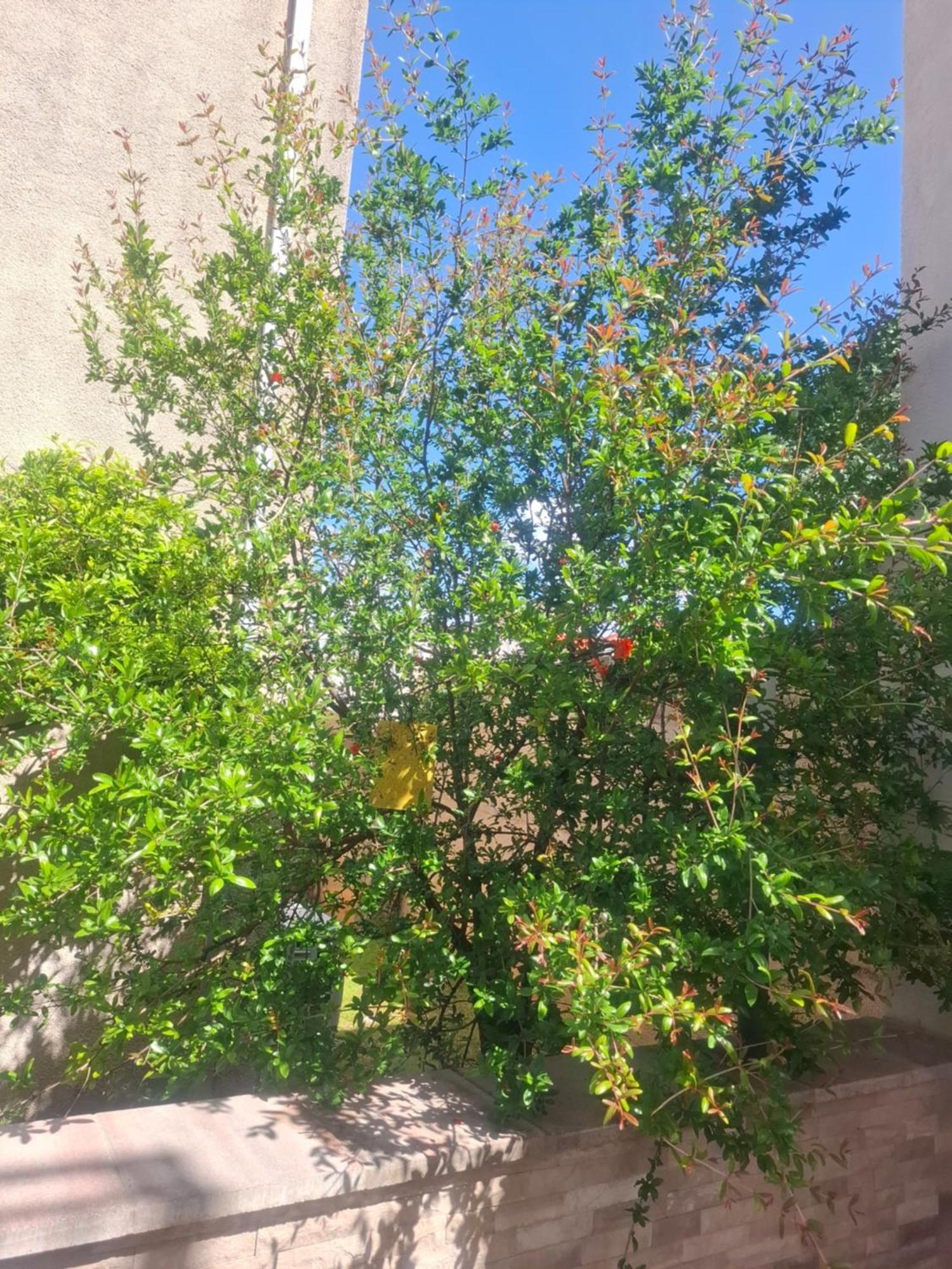 Apartment Biggy 察夫塔特 外观 照片
